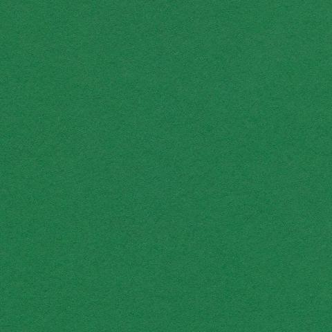   Colorplan Lockwood Green 270