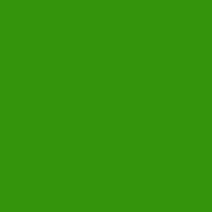 

Термотрансферная пленка FLOCK Green