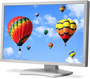   24 NEC MultiSync PA242W silver/white