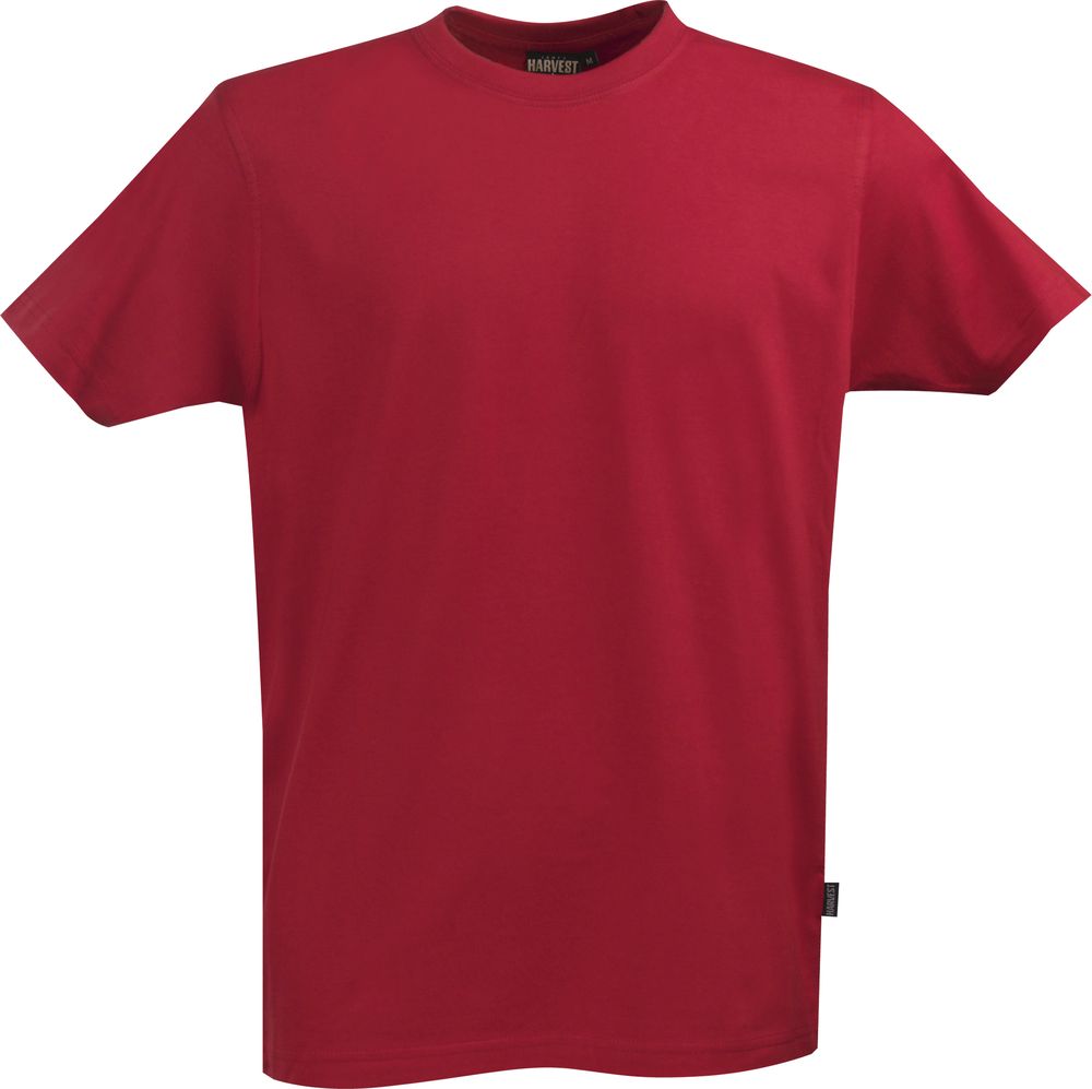   AMERICAN T, ,  M