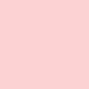    Oracal 8300 F085 Pale Pink 1.26x50 