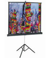 ������������ �����  Da-Lite Versatol 213x213 Matte White