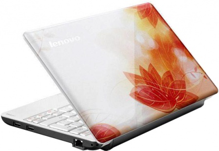 �������  Lenovo IdeaPad S100 Lotus (59312487)