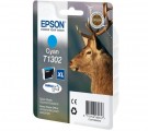  Epson C13T13024010/C13T13024012