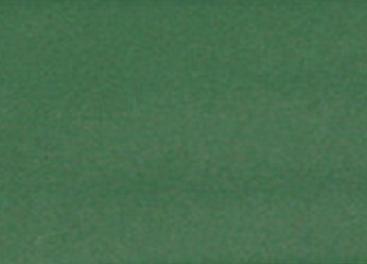   Colorplan Pistachio 270