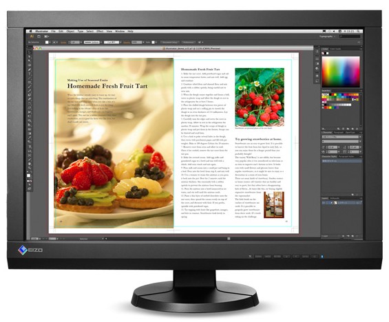  24 EIZO ColorEdge CX240 Black (CX240-BK)