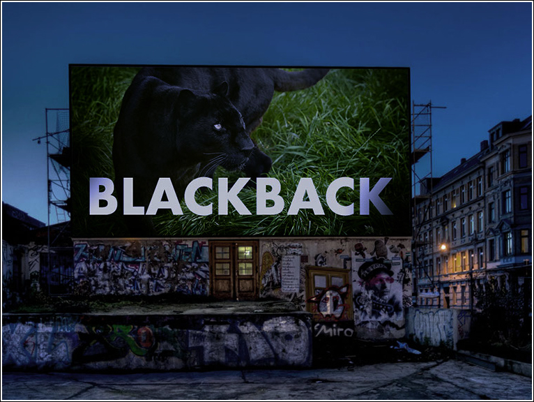  Vikuflex  Black Back, 450, 50x1.6   1000Dx1000D, 18x18