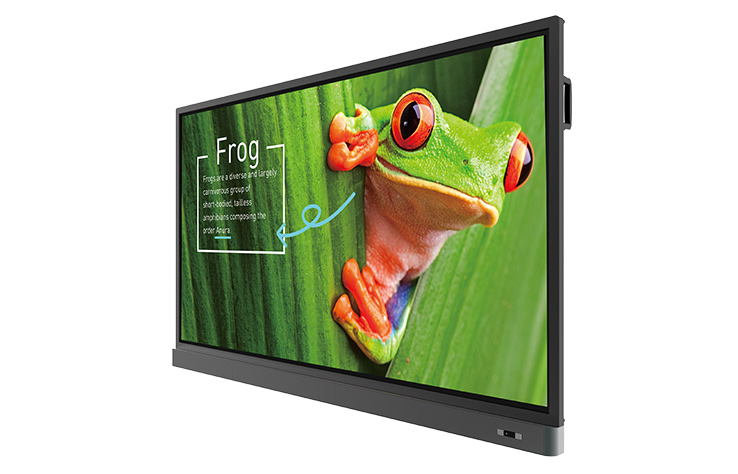   BenQ RM7501K