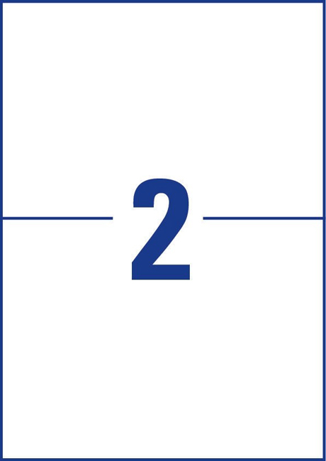    Avery Zweckform, 100 , 3655