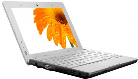 �������  Lenovo IdeaPad S100 Lotus (59312487)