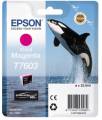     Epson T7603  SC-P600 (C13T76034010)