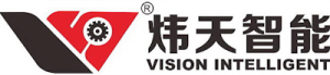 Vision