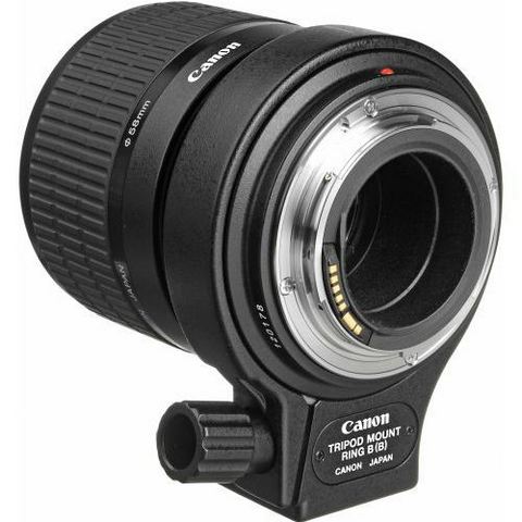  Canon MP-E 65mm f/2.8 1-5x Macro