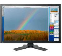  30 EIZO ColorEdge CG301W, Black, 2xDVI-I, USB hub, Hood