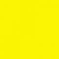    Oracal 8300 F025 Brimstone Yellow 1.26x50 