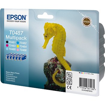    Epson T0487  R200, R300 (C13T04874010)