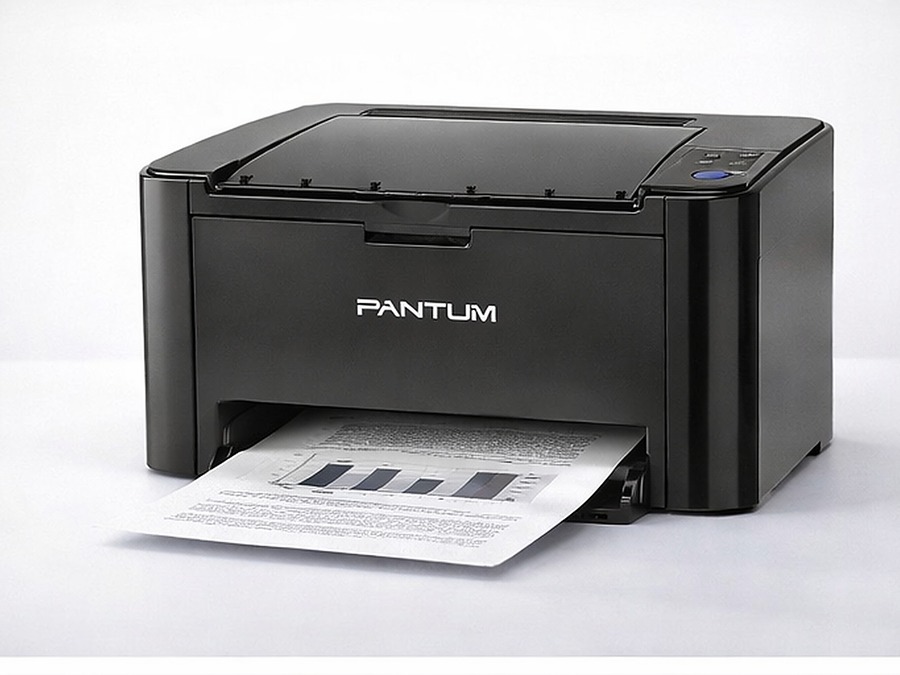 �������  Pantum P2516