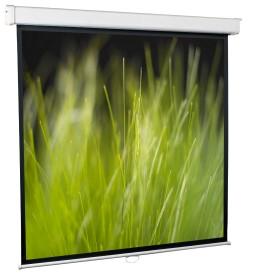 Проекционный экран ScreenMedia Goldview 229x305 MW SGM-4306