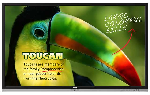 ������������� ������  BENQ RP653