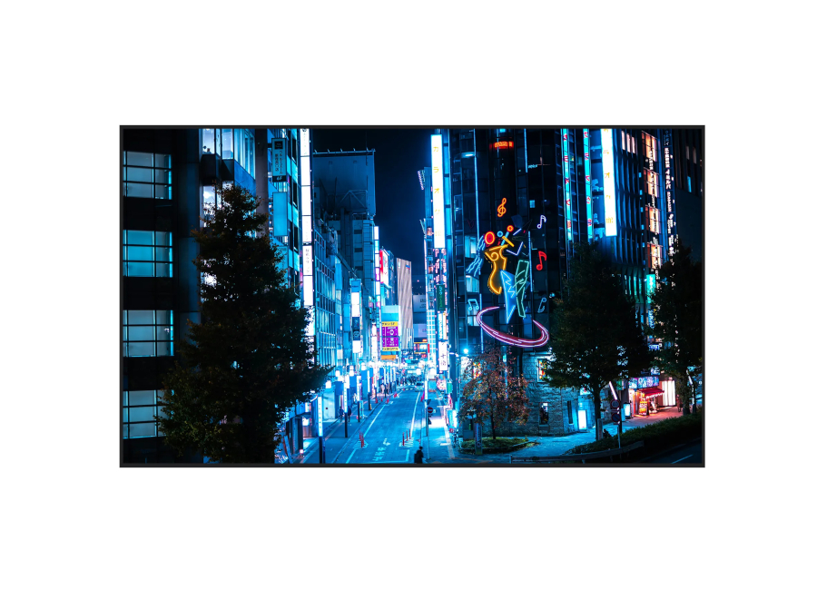 �������������� ������  Diello DDS-110ADV
