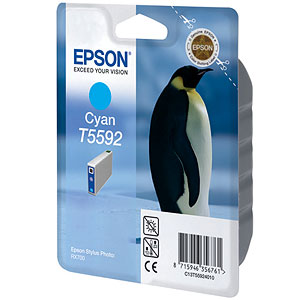  Epson C13T55924010