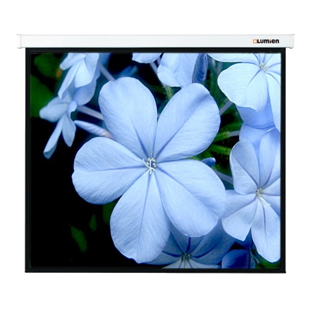 Проекционный экран Lumien Master Picture 220x128 MW (LMP-100115)