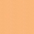      Poli-Flock Light Beige 509