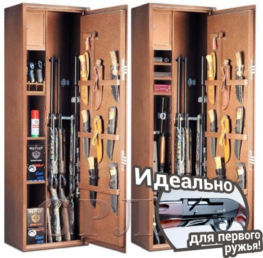   Gunsafe   12