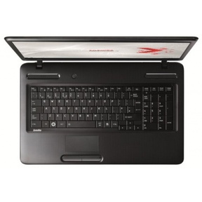 �������  Toshiba Satellite C670-16K (PSC40E-00C00NRU)