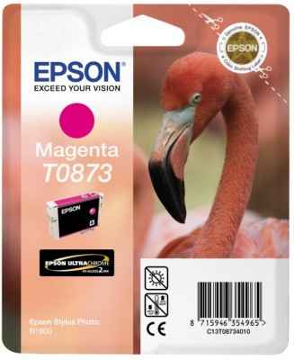  Epson EPT08734010