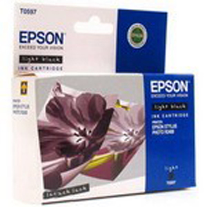  Epson EPT059740
