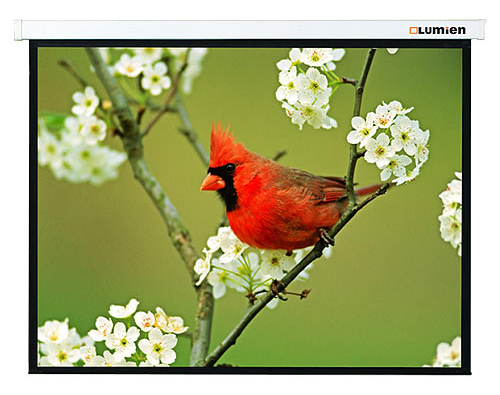 ������������ �����  Lumien Master Picture 139x240 MW (LMP-100116)