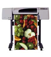   HP DesignJet 500 Plus PS (+  ) C7769G ( )