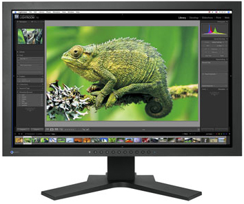 �������  24.1 EIZO TFT ColorEdge CG241W (CG241WK)