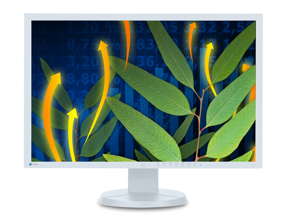  27 EIZO FlexScan EV2736W (EV2736WFS-GY)