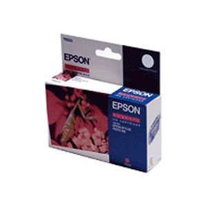  Epson EPT033340
