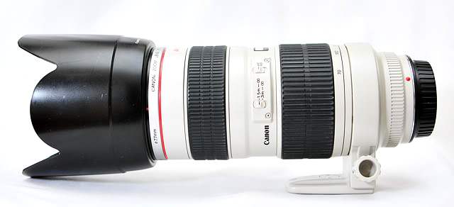  Canon EF 70-200mm f/2.8L USM