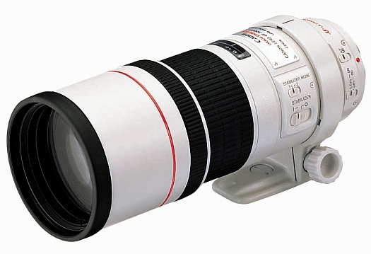  Canon EF 300mm f/4L IS USM
