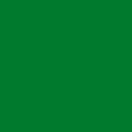 Термотрансферная плёнка зеленая ACE-301 (011)