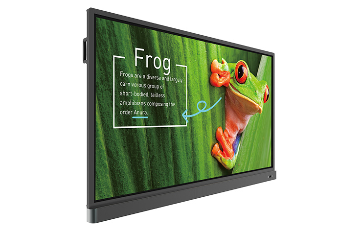   BenQ RM7501K