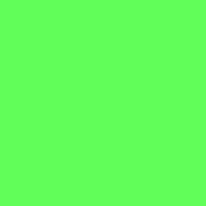      Poli-Flex Premium Neon Green 441