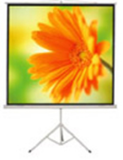 ������������ �����  Apollo 244x244cm, MW (SAM-1106)