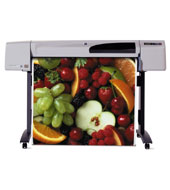   HP DesignJet 500 Plus PS.  42 C7770G ( )