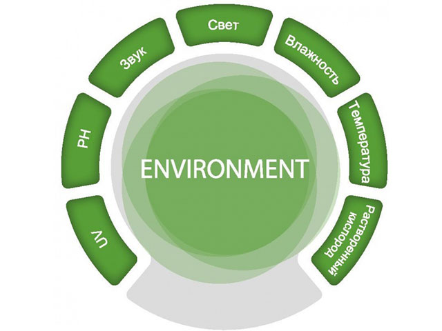   SenseDisc Environment