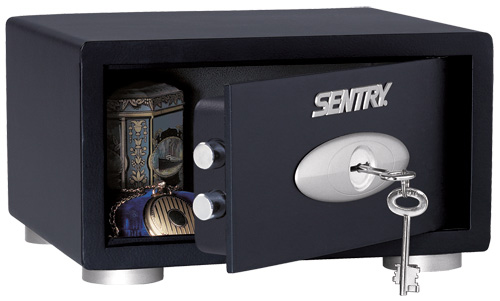 ��������� ���� Sentry T1-100