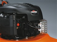  Briggs & Stratton