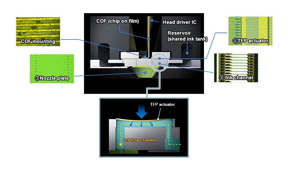 Epson-SureColor-SC-P5000-STD_PrecisionCore-TF.jpg